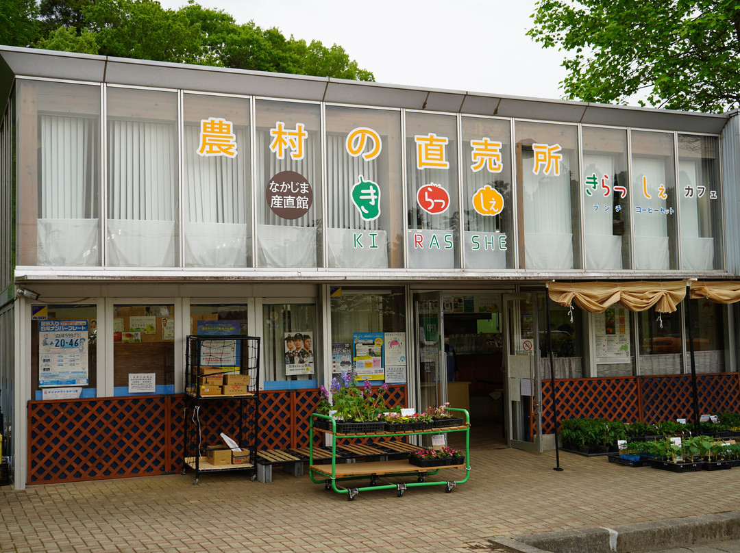 Nakajima Direct Marketing Museum Kirasshe