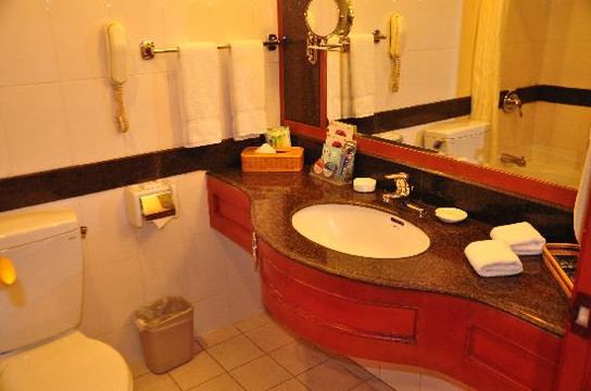 重庆丽苑维景国际大酒店（沙坪坝高铁站店）主图