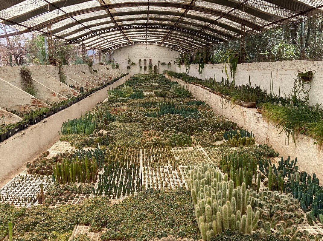 Vivero Quinta Fernando Schmoll景点图片