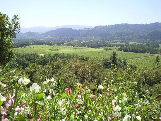 Rombauer Vineyards景点图片