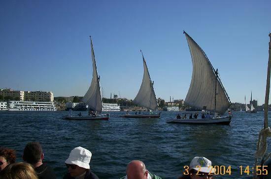 Aswan Botanical Garden-亚斯文必去景点