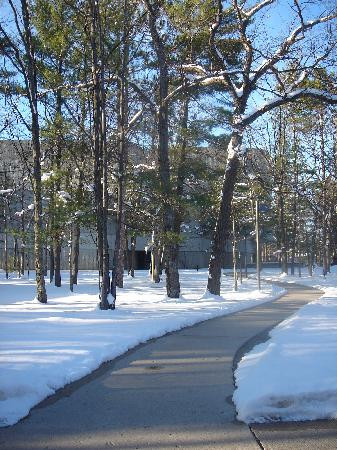 Interlochen Center for the Arts景点图片