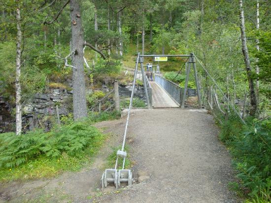 Corrieshalloch Gorge National Nature Reserve景点图片