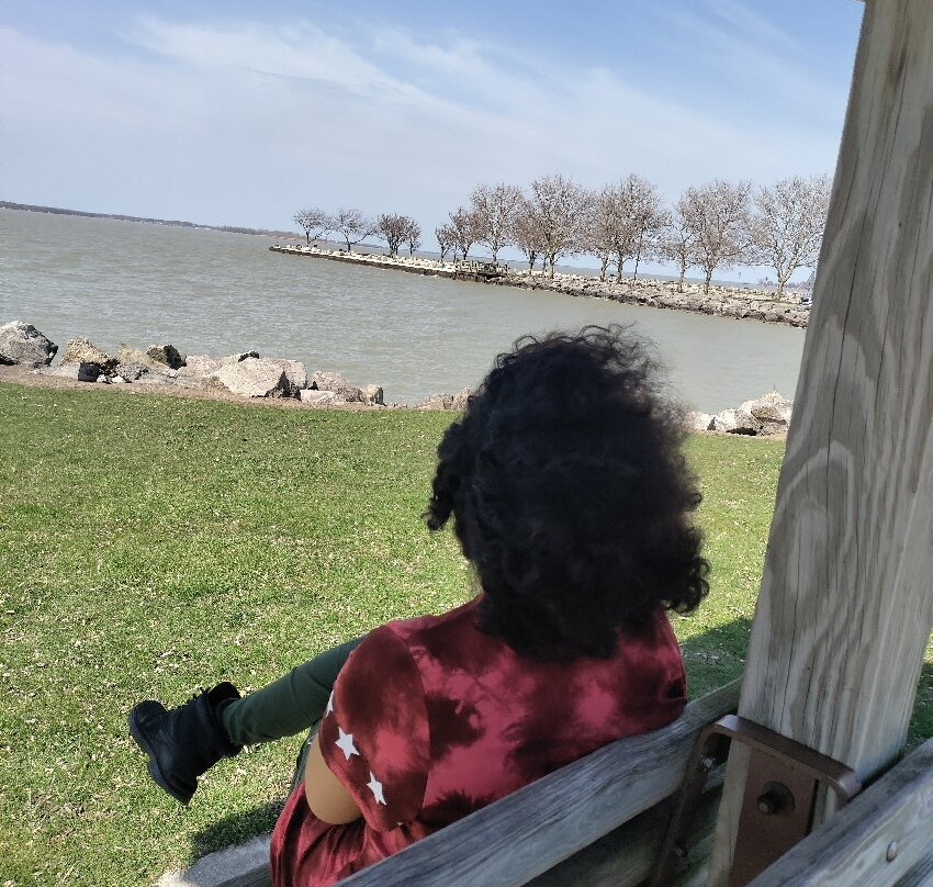 Shoreline Park-桑达斯基必去景点