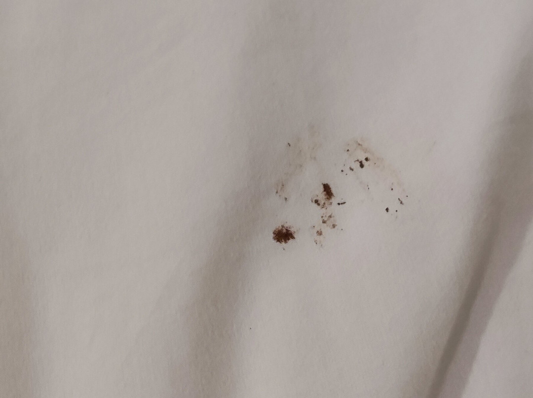 Vega Hotel Gading Serpong主图