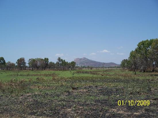 Townsville Town Common Conservation Park-汤斯维尔必去景点