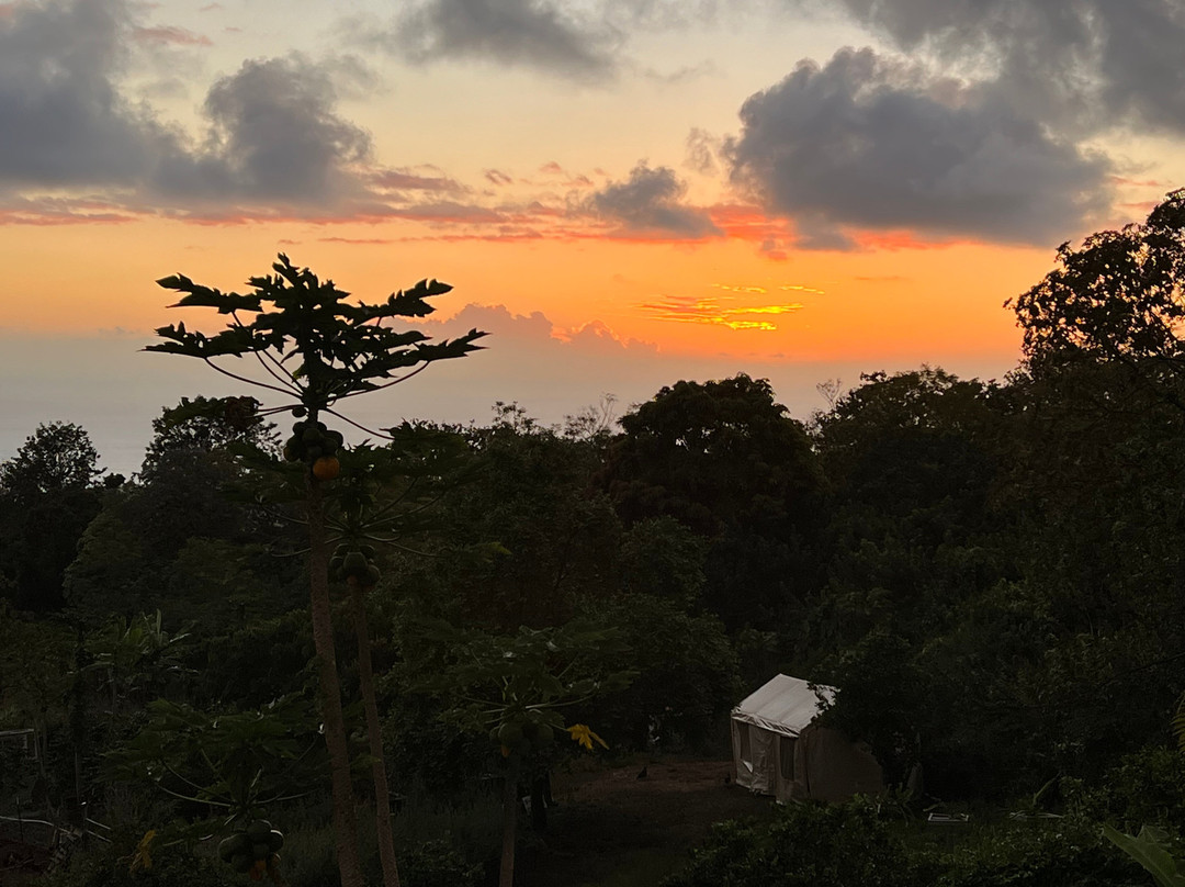 海勒华拉来住宿加早餐旅馆主图