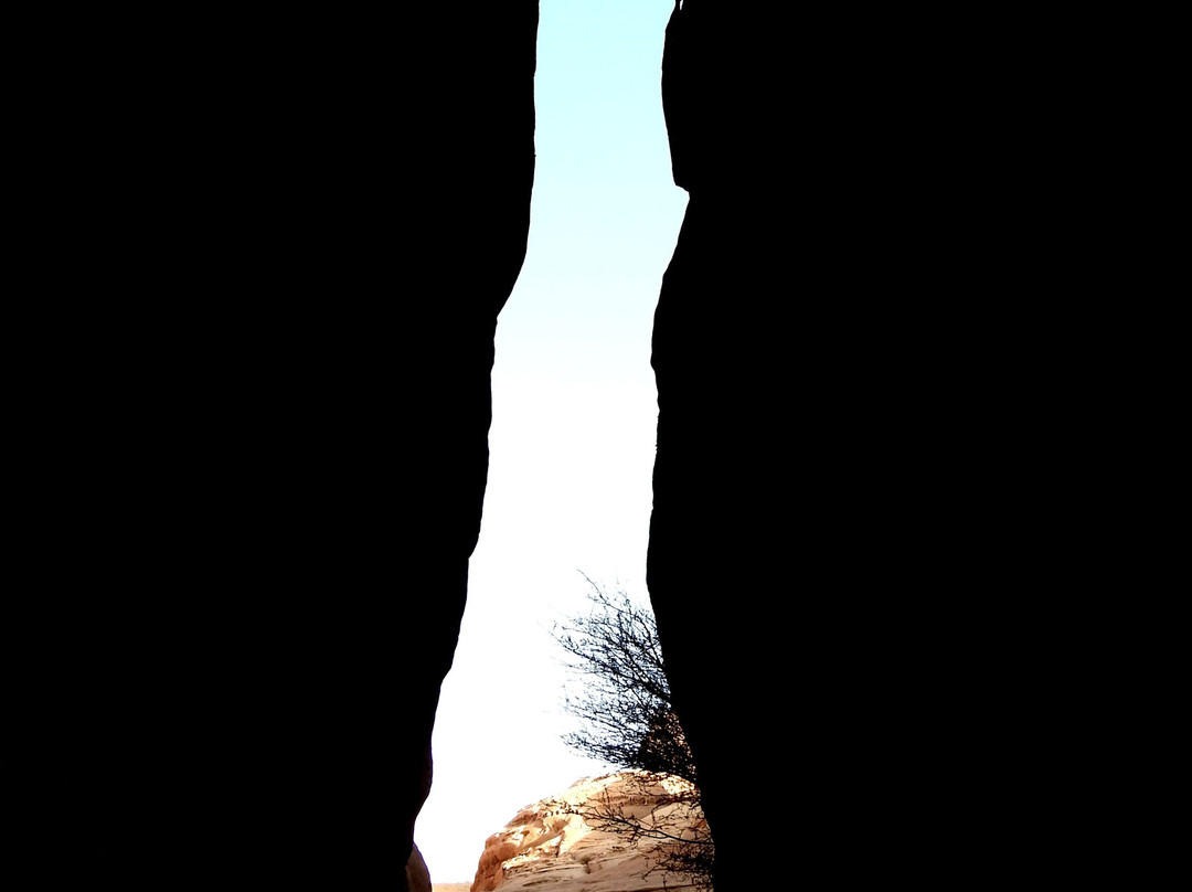 Al Diwan-AlUla必去景点