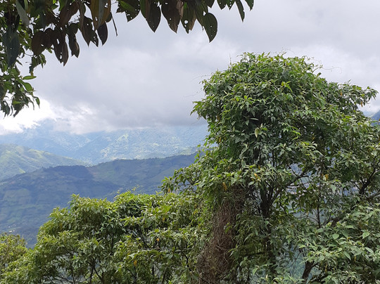 Trekking San Cristóbal-麦德林必去景点