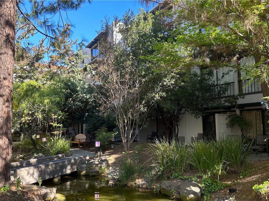 帕洛阿尔托喜来登酒店主图