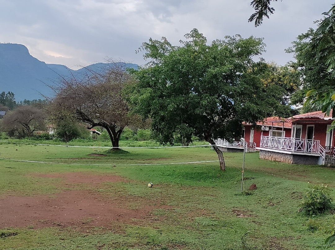 The Wild Forest Resorts主图