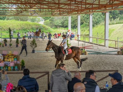 Equus-恩维加多必去景点