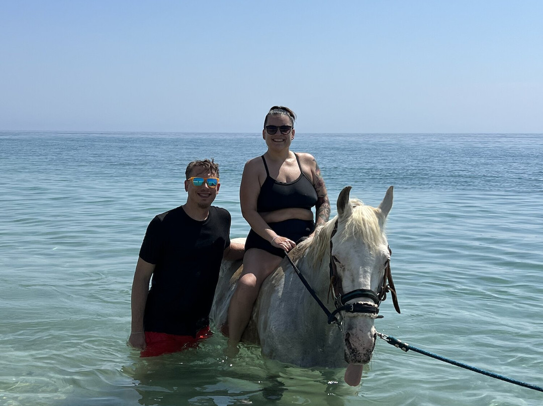 Baja's Awesome Beach Rides-Los Barriles必去景点