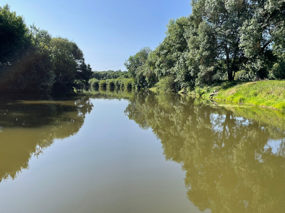 Le Château Des Forges主图