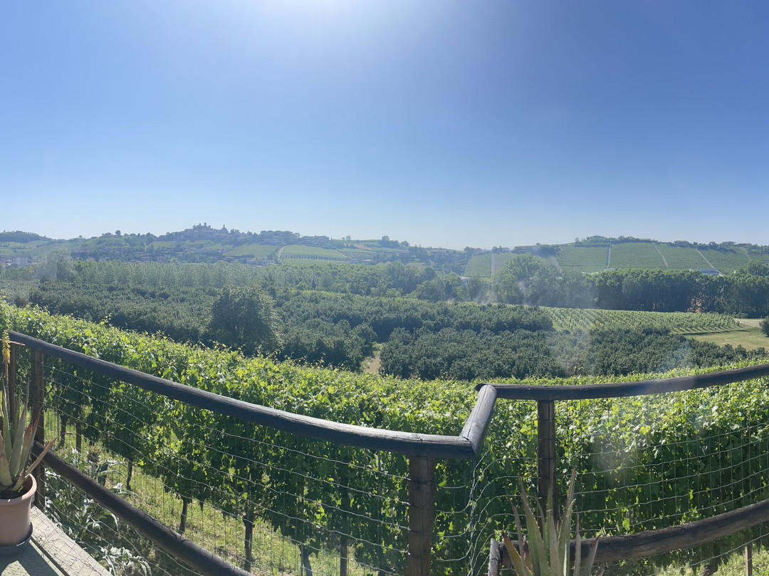 Agriturismo Cascina Longoria主图