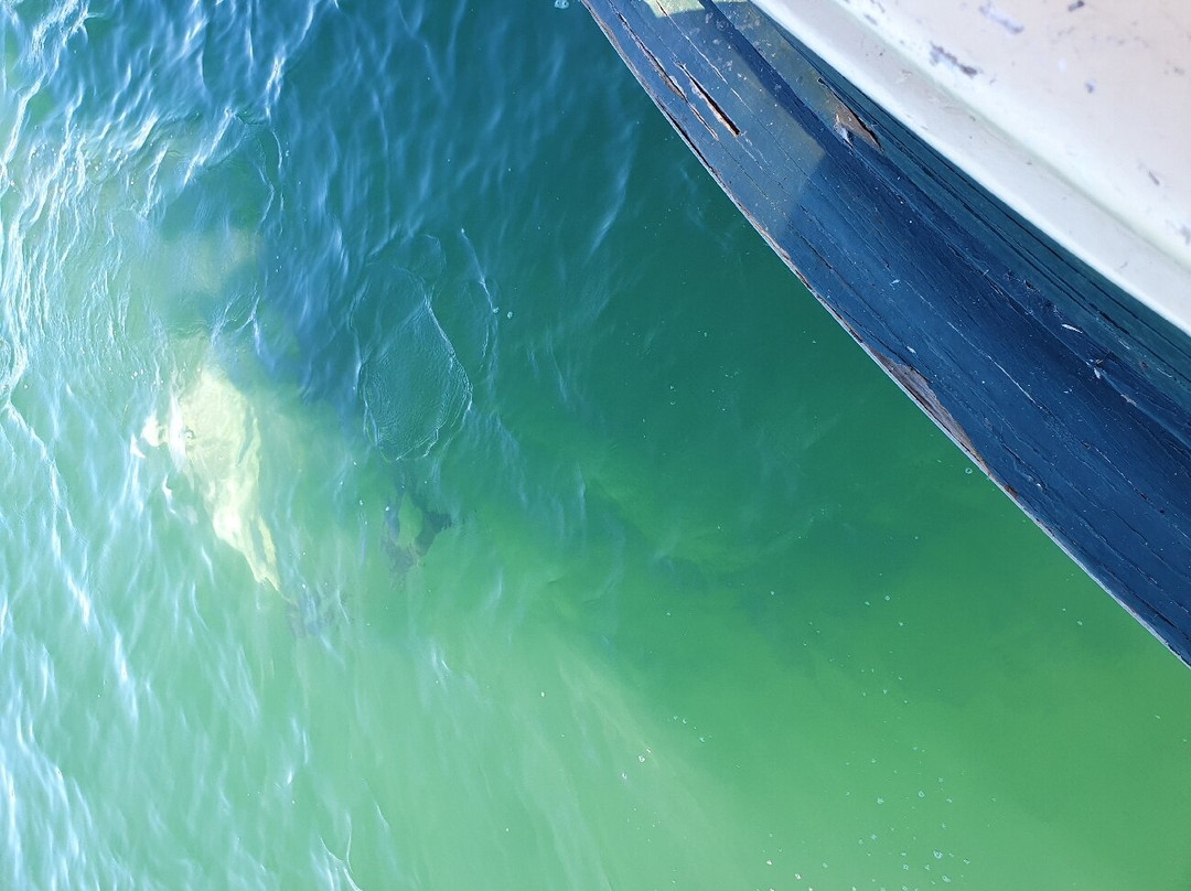 Tea Gardens Hotel主图