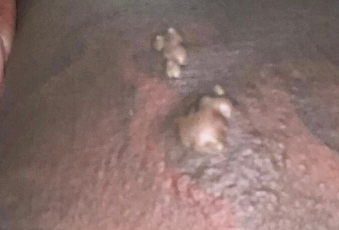 Palm Tree Guest House主图