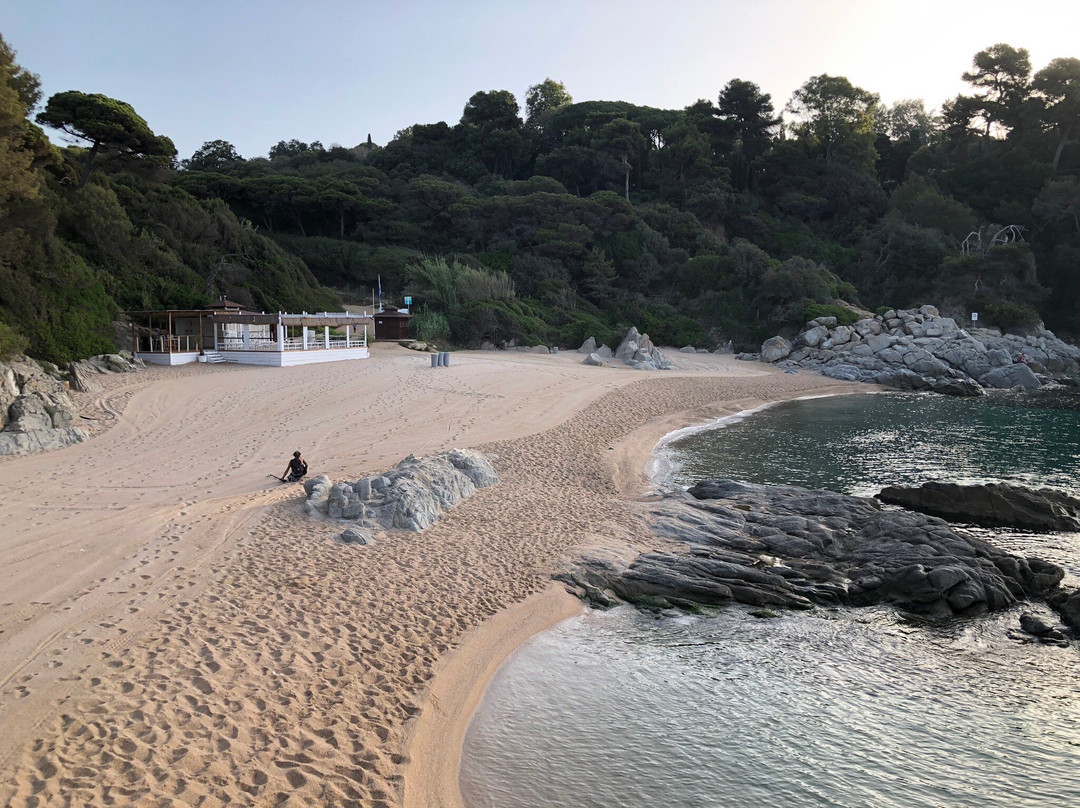 Playa Cala Sa Boadella景点图片