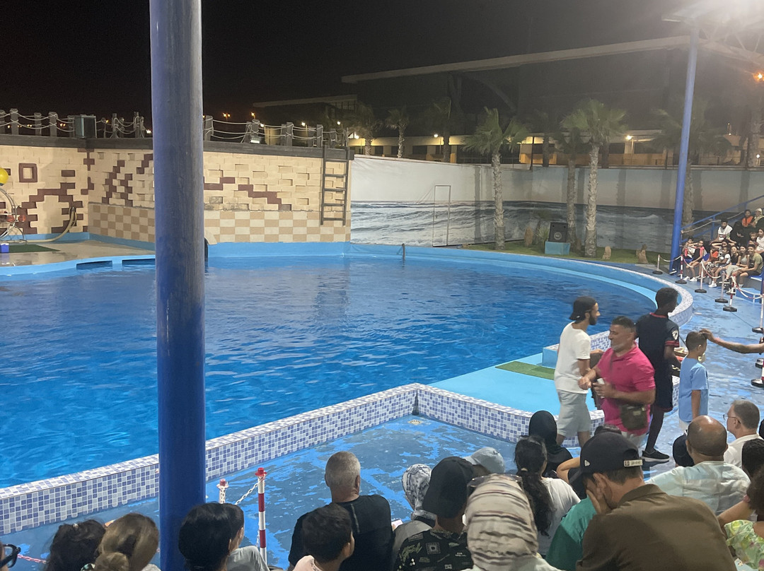 Agadir Dolphin World-阿加迪尔必去景点