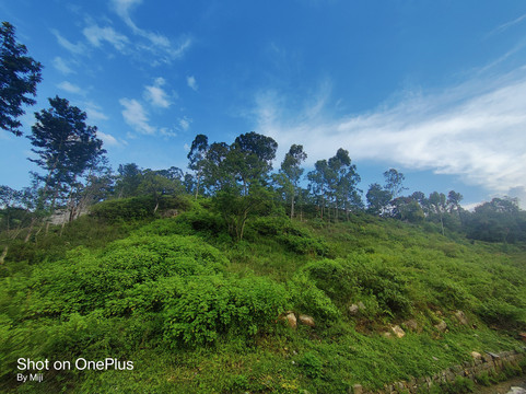 iHotels Yercaud主图