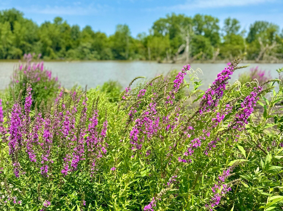 Lake Erie Adventure Company-Huron必去景点