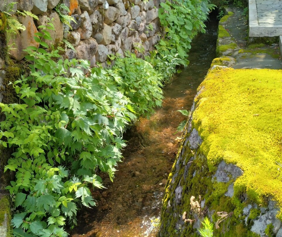Shiramine Important Preservation District For Groups Of Historical Buildings景点图片