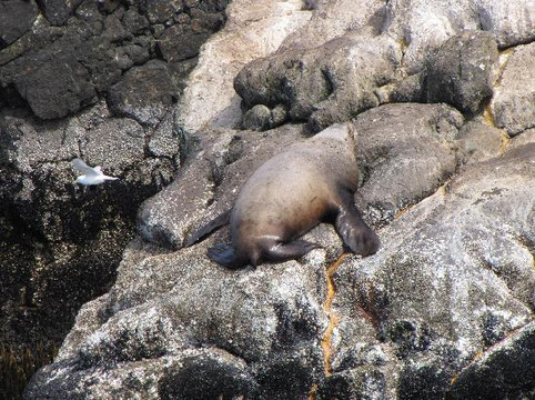Renown Glacier Cruises & Tours-苏厄德必去景点