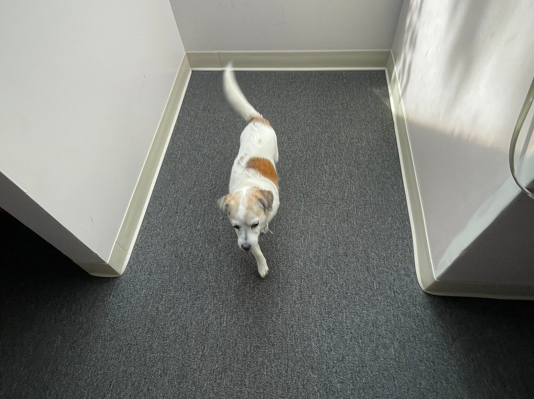 Traverse Bay Inn主图