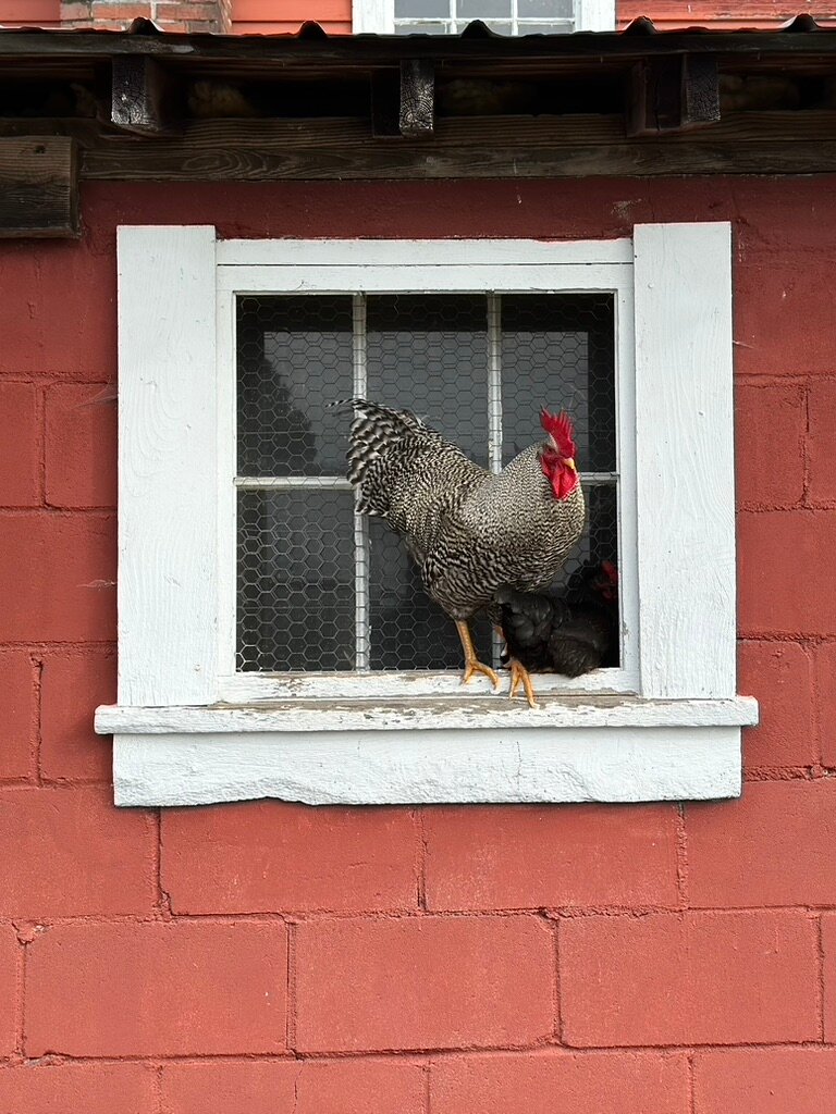 Inn at Valley Farms-浴室