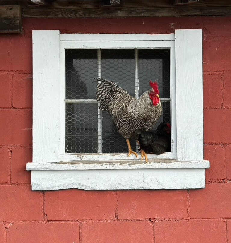 Inn at Valley Farms主图