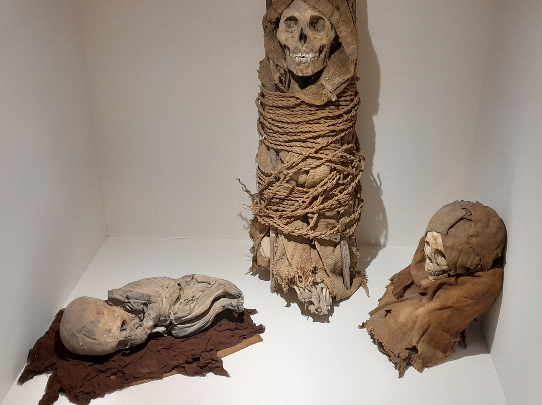 Museo Historico Regional Hipolito Unanue-Ayacucho必去景点