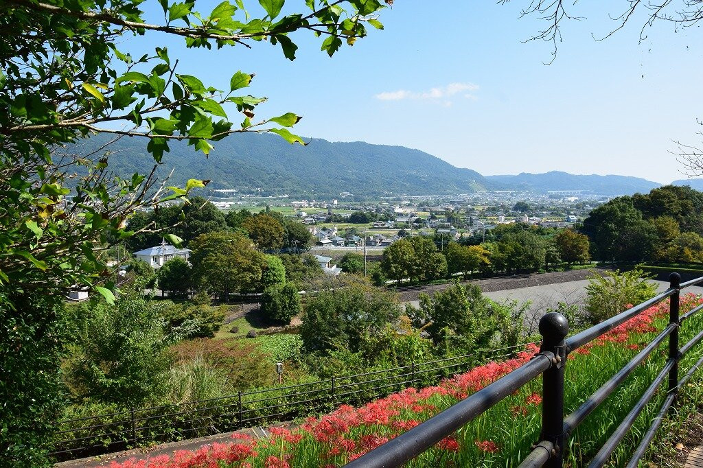 Minamiashigara Sports Park景点图片