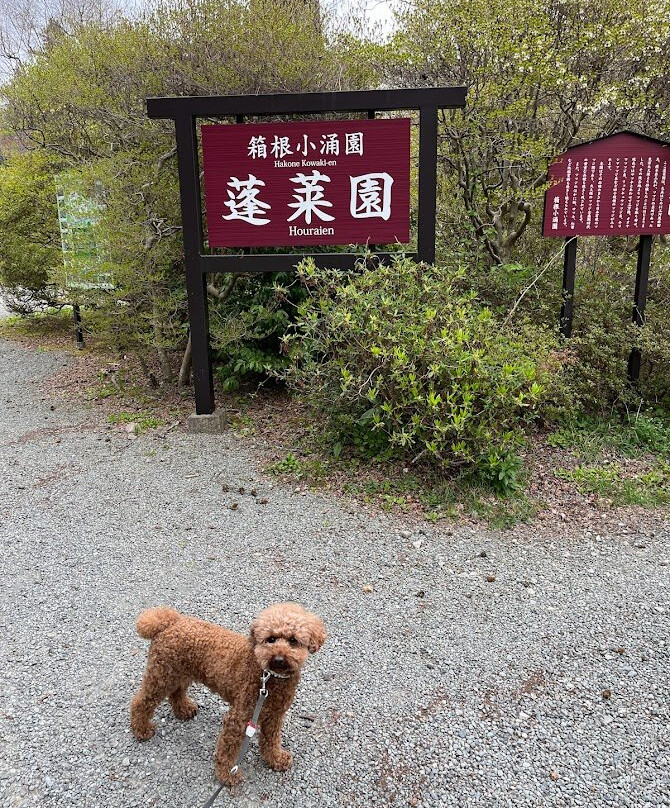 Hakone Kowakien Horai Garden景点图片