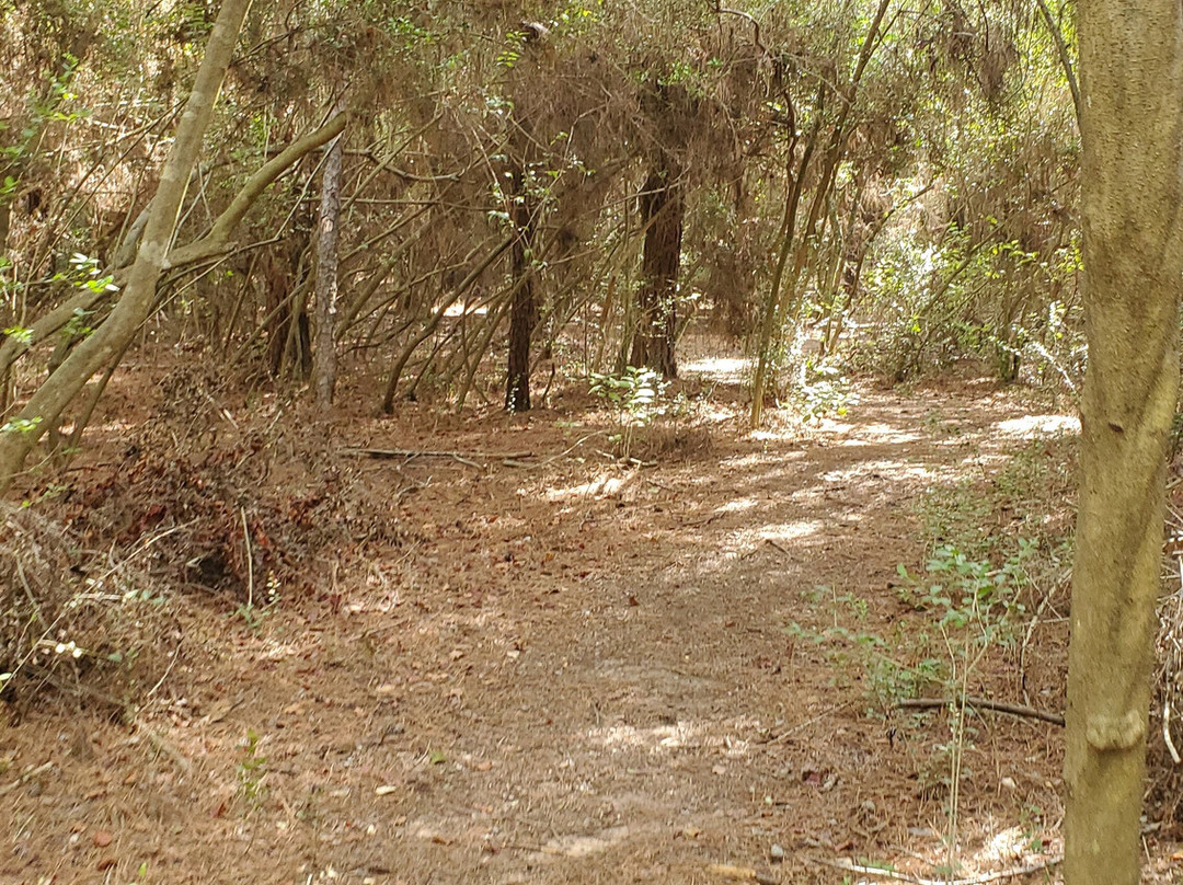 Kleb Woods Nature Preserve-Tomball必去景点