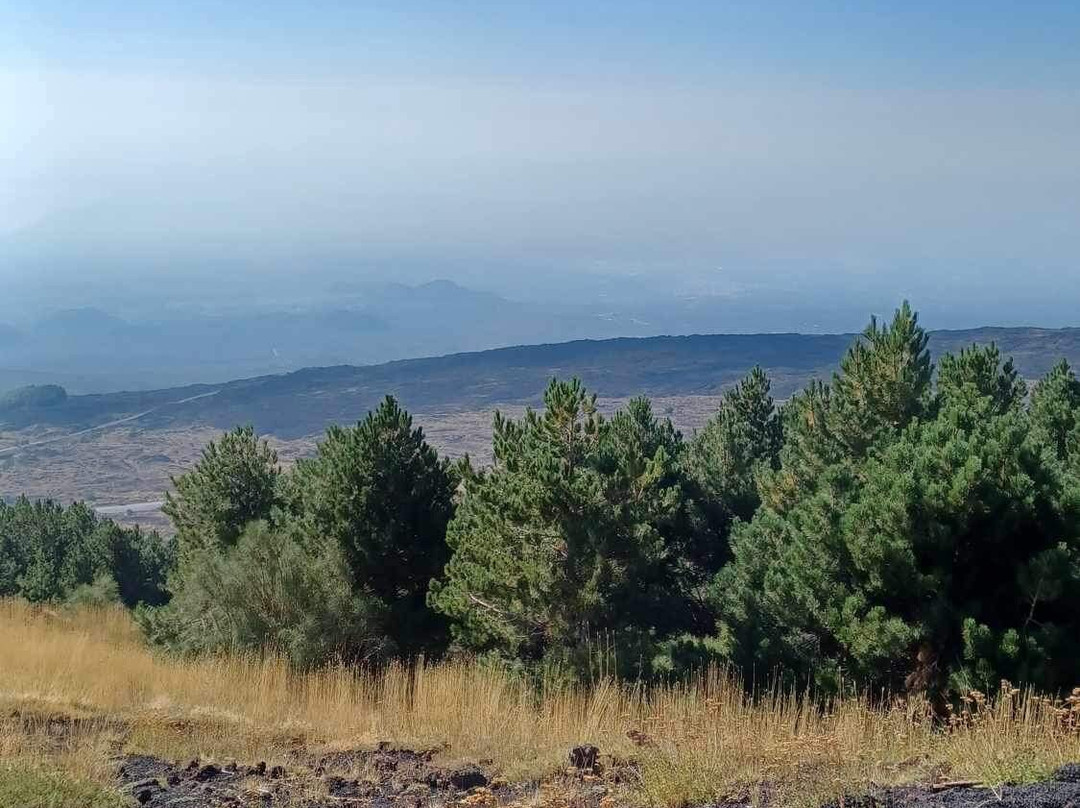 Valle Del Bove景点图片