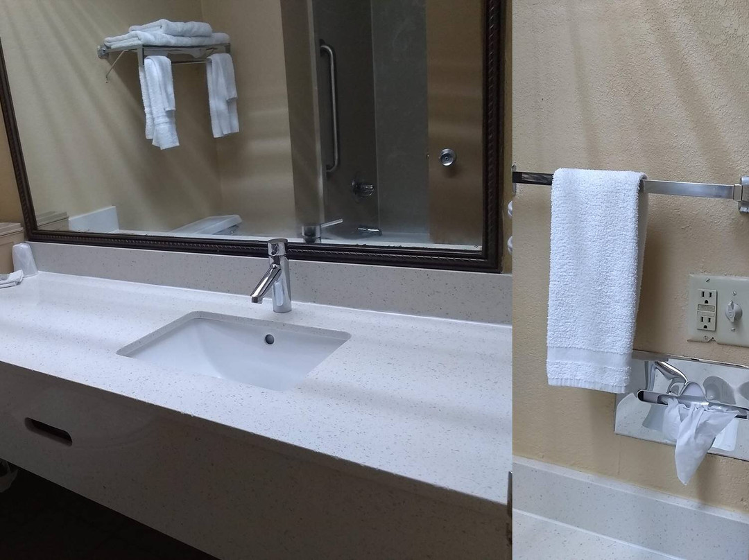 Red Roof Inn & Suites Macon主图