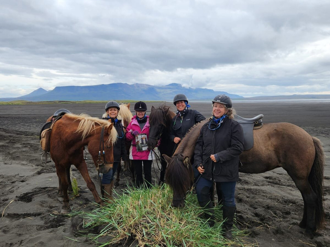 Riding Iceland ehf-胡萨维克必去景点