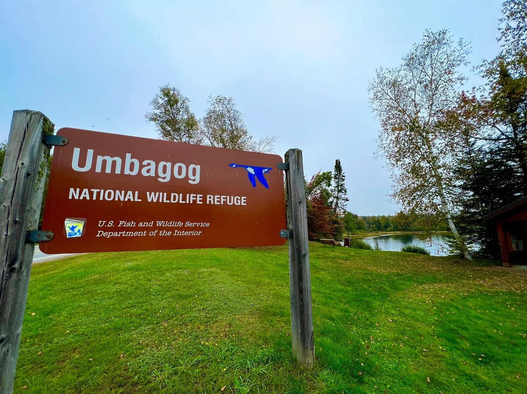 Lake Umbagog National Wildlife Refuge景点图片