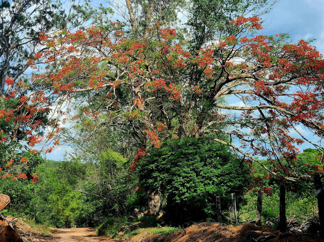 Santuario Vagafogo-Pirenopolis必去景点
