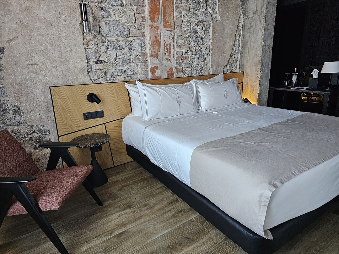 Hotel Luruna Palacio Larrinaga主图