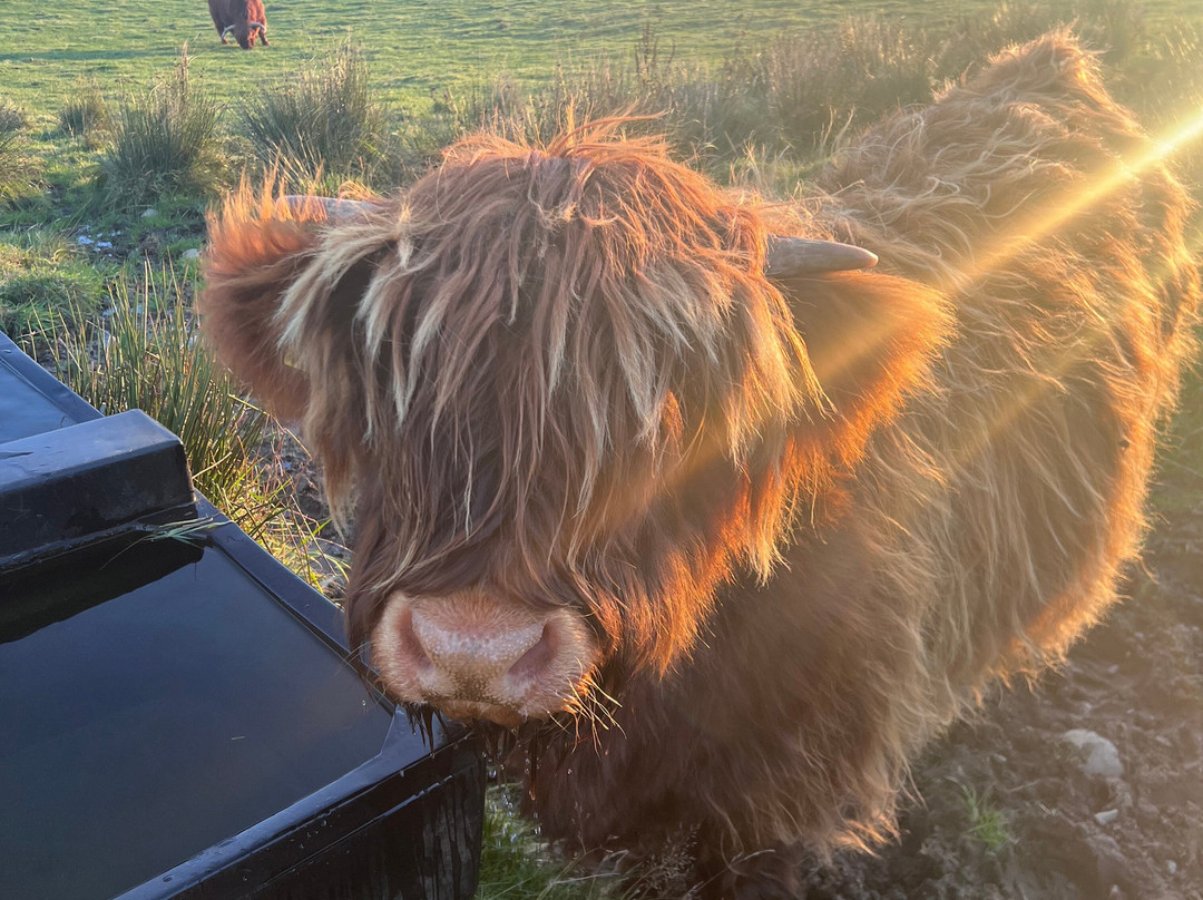 Spey River Farm-Newtonmore必去景点