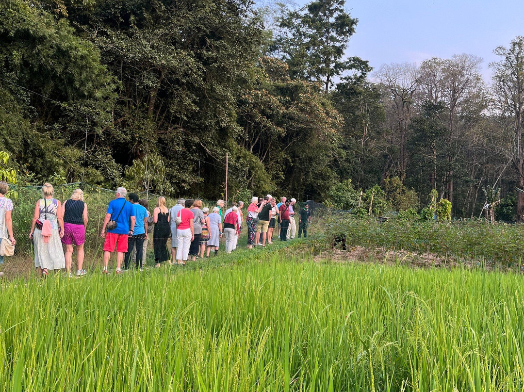 Kerala Private Tours - Travelberry Kerala景点图片