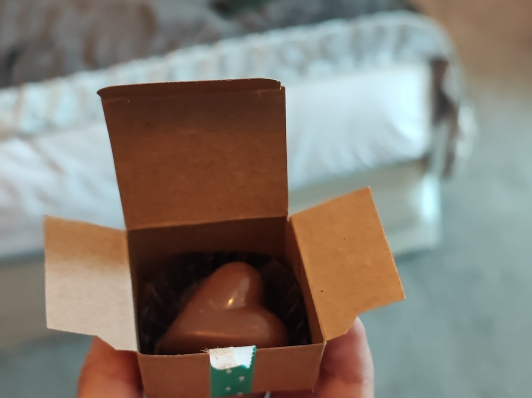 Hotel Dreams Valdivia主图