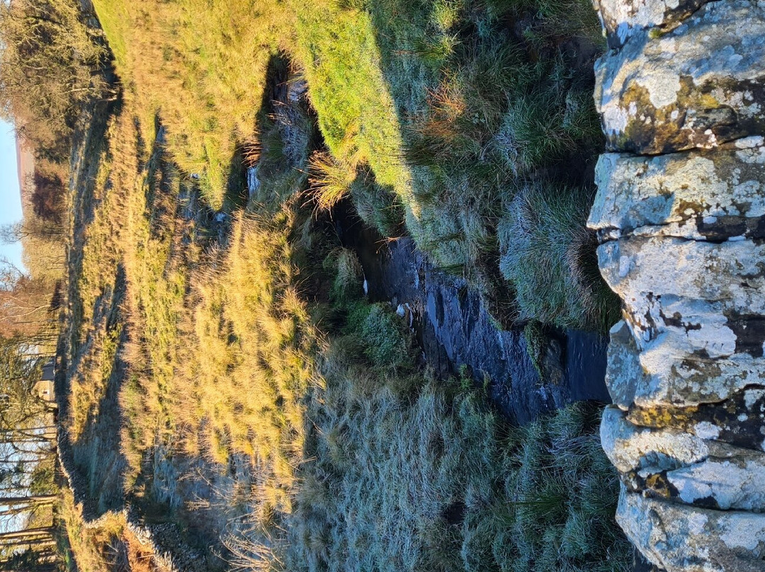 The Gun at Ridsdale主图