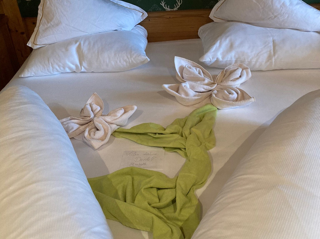 Alphotel Tyrol主图