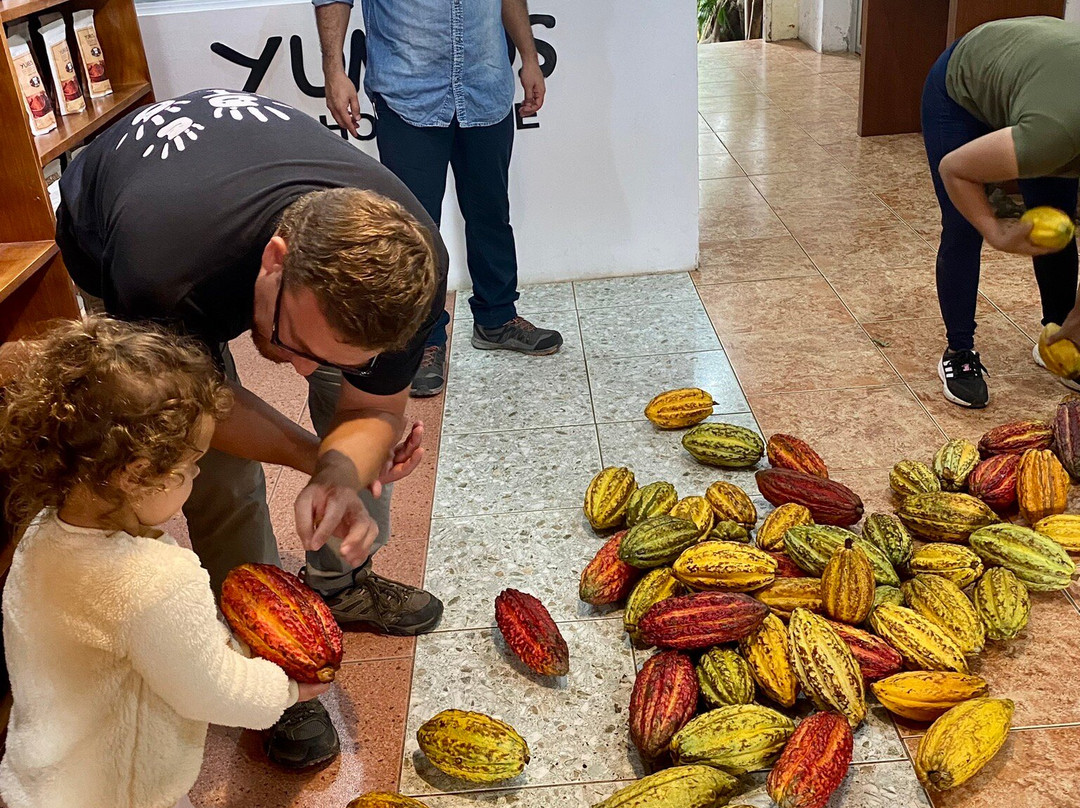 Ecuador Best Tours-基多必去景点