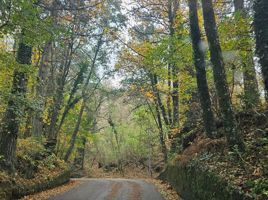 Melluso Day Tours-庞贝必去景点