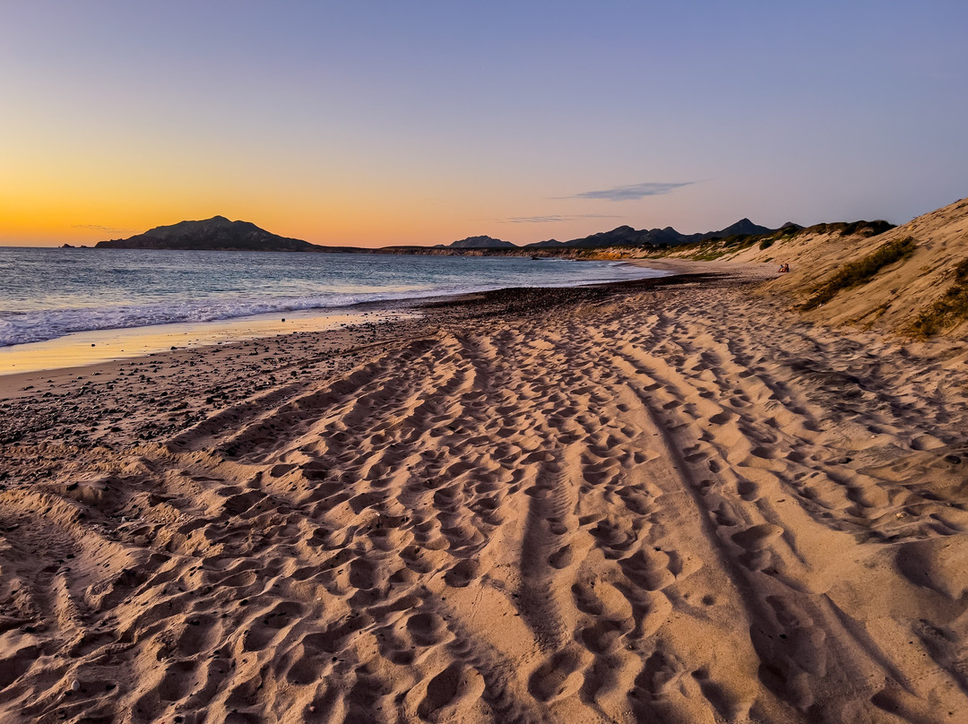 GoDiveBaja-拉巴斯必去景点