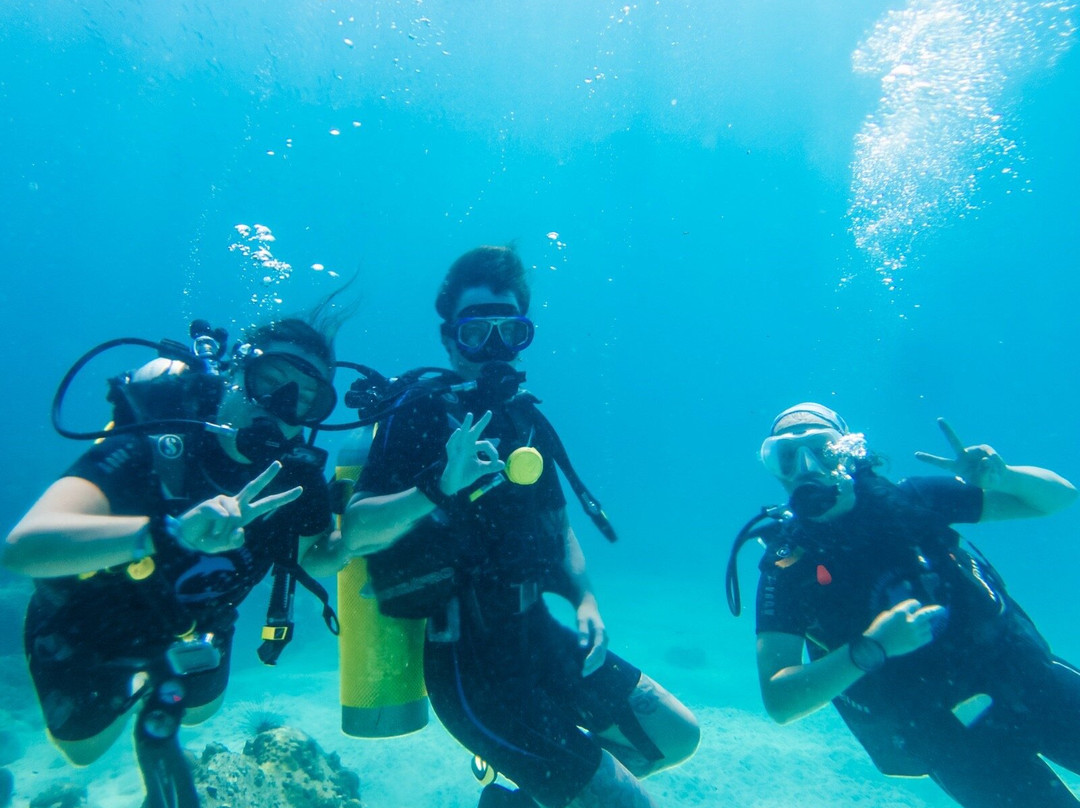 Paradise Divers Koh Kood景点图片