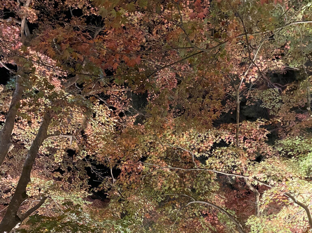 Tsukinoishi Momiji Park-长瀞町必去景点